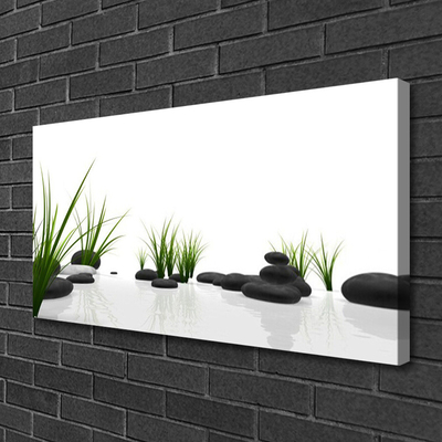 Quadro canvas Pedras Grama Arte