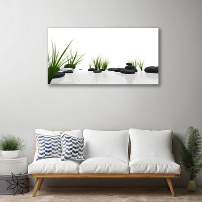 Quadro canvas Pedras Grama Arte