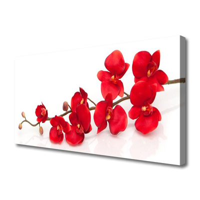 Quadro em tela Planta de flores