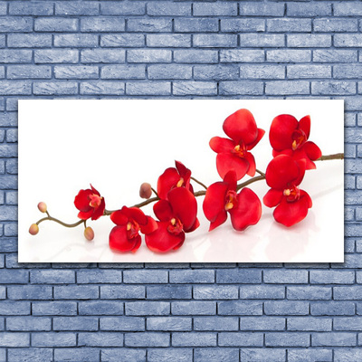 Quadro em tela Planta de flores