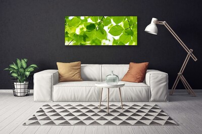 Quadro canvas Folhas Natureza Planta