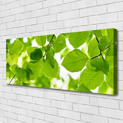 Quadro canvas Folhas Natureza Planta