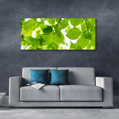 Quadro canvas Folhas Natureza Planta