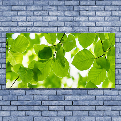 Quadro canvas Folhas Natureza Planta