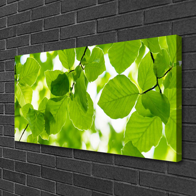 Quadro canvas Folhas Natureza Planta