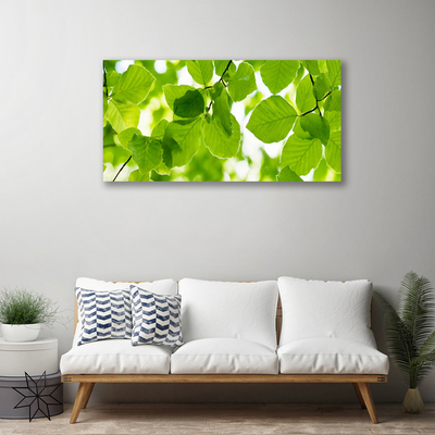Quadro canvas Folhas Natureza Planta
