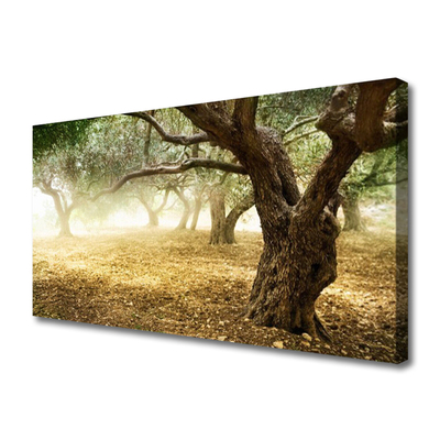 Quadro canvas Árvore Grama Natureza