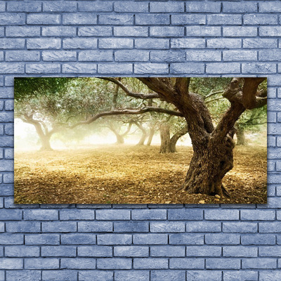 Quadro canvas Árvore Grama Natureza