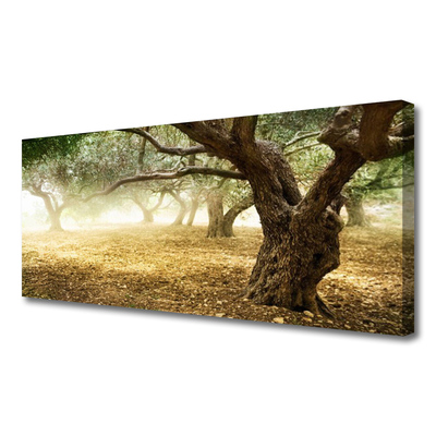 Quadro canvas Árvore Grama Natureza