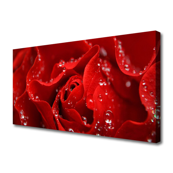 Quadro canvas Rosa Flor Planta Natureza