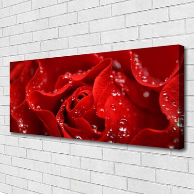 Quadro canvas Rosa Flor Planta Natureza