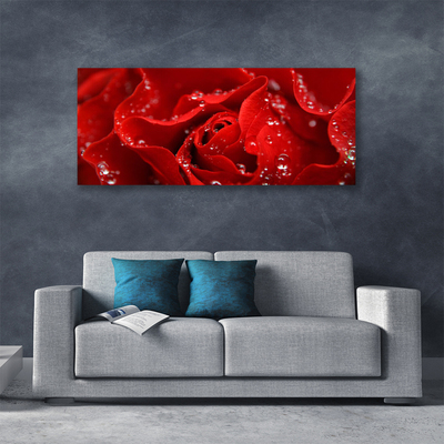 Quadro canvas Rosa Flor Planta Natureza