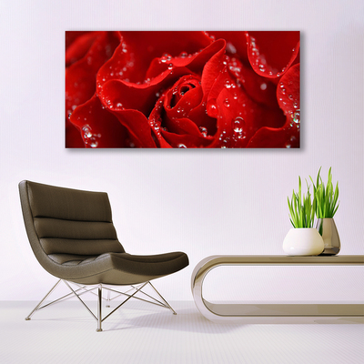 Quadro canvas Rosa Flor Planta Natureza