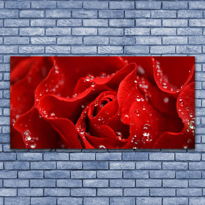 Quadro canvas Rosa Flor Planta Natureza