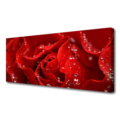 Quadro canvas Rosa Flor Planta Natureza