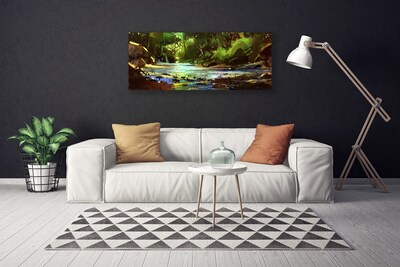 Quadro canvas Pedras do Lago da Floresta Natureza