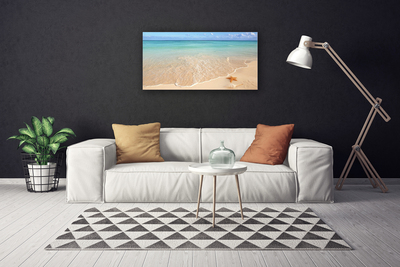 Quadro em tela Paisagem de estrelas do mar na praia