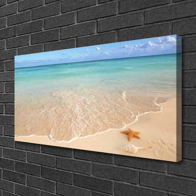 Quadro em tela Paisagem de estrelas do mar na praia