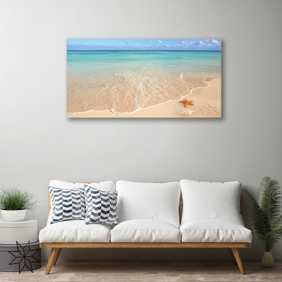 Quadro em tela Paisagem de estrelas do mar na praia