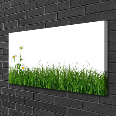 Quadro em tela Grama Natureza Planta