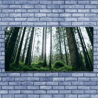 Quadro em tela Floresta Natureza Árvores