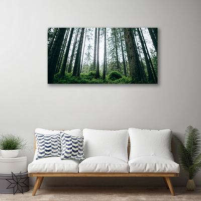 Quadro em tela Floresta Natureza Árvores