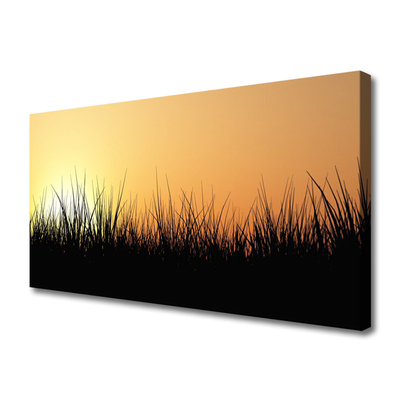 Quadro canvas Grama Natureza Planta