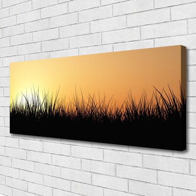Quadro canvas Grama Natureza Planta