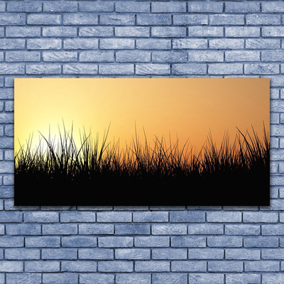 Quadro canvas Grama Natureza Planta