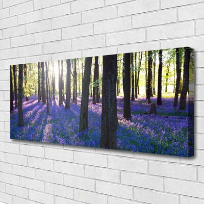 Quadro canvas Árvores da Floresta Natureza