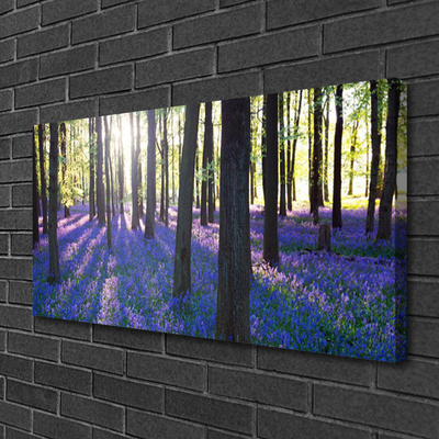 Quadro canvas Árvores da Floresta Natureza