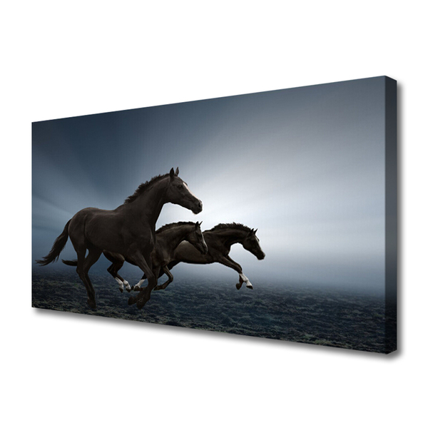 Quadro em tela Cavalos Animais