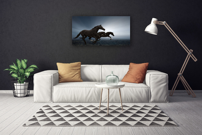 Quadro em tela Cavalos Animais