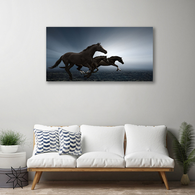 Quadro em tela Cavalos Animais