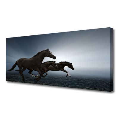 Quadro em tela Cavalos Animais