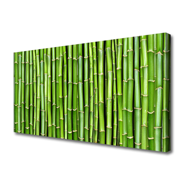Quadro canvas Planta de flor de bambu