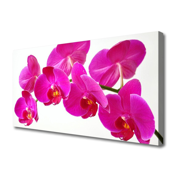 Quadro em tela Planta de flores