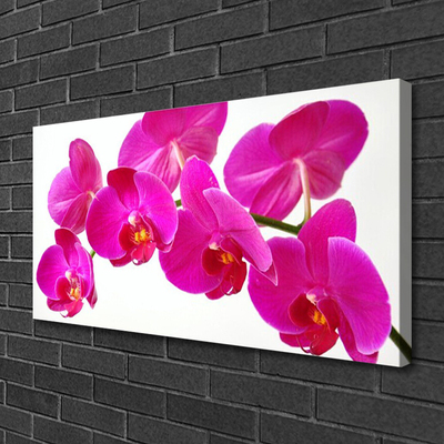 Quadro em tela Planta de flores