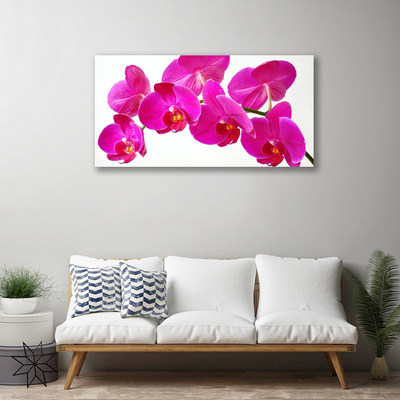 Quadro em tela Planta de flores