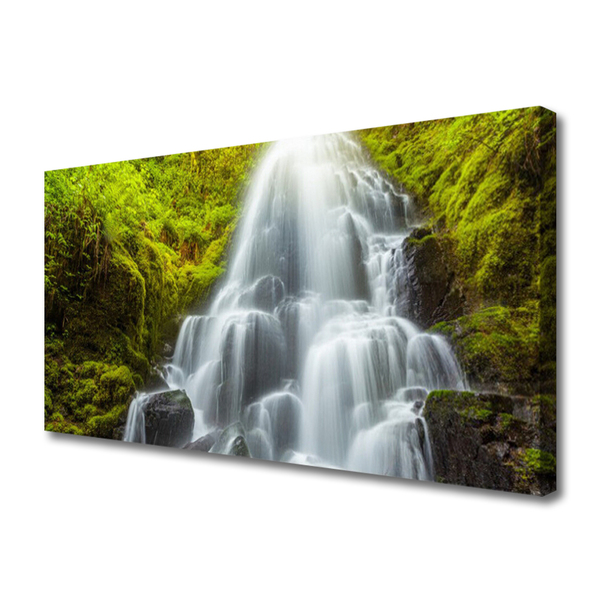 Quadro canvas Cachoeira da Natureza