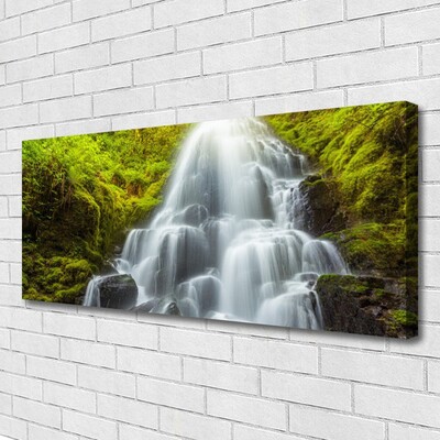 Quadro canvas Cachoeira da Natureza