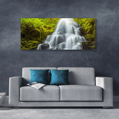 Quadro canvas Cachoeira da Natureza
