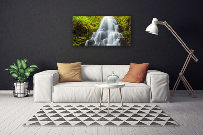 Quadro canvas Cachoeira da Natureza