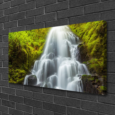 Quadro canvas Cachoeira da Natureza