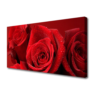 Quadro em tela Flores de rosas