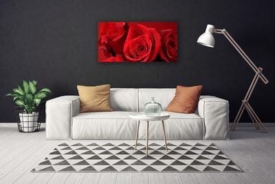 Quadro em tela Flores de rosas