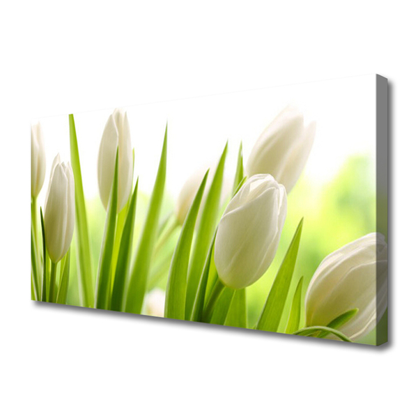Quadro canvas Tulipas Flores