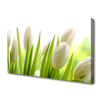 Quadro canvas Tulipas Flores