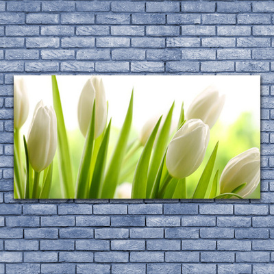 Quadro canvas Tulipas Flores
