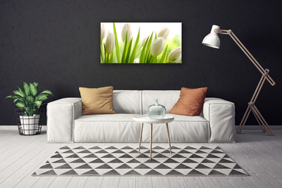 Quadro canvas Tulipas Flores